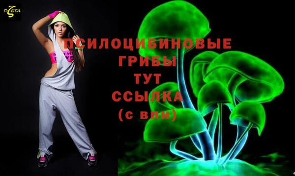 мет Армянск