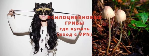 apvp Аркадак