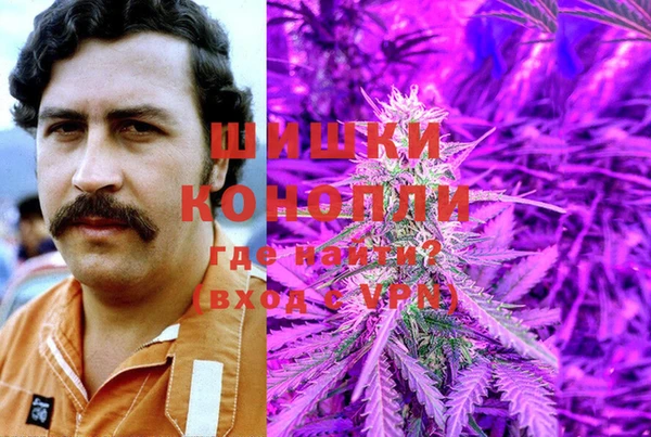 apvp Аркадак