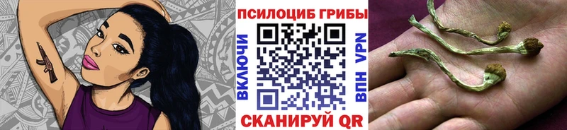 МЕГА ТОР  Муравленко  Галлюциногенные грибы прущие грибы 